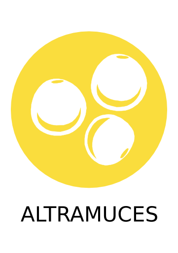 Alérgeno altramuces El rincón de las tartas de queso