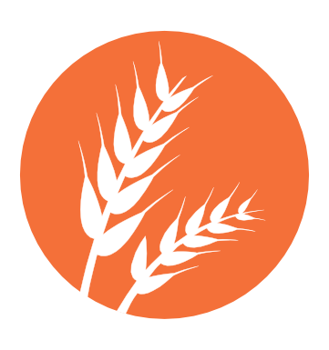 Alérgeno gluten